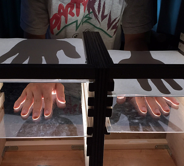 みぎひだりうえしたあべこべ実験