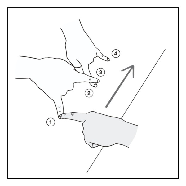 とんととんの錯覚(主観)