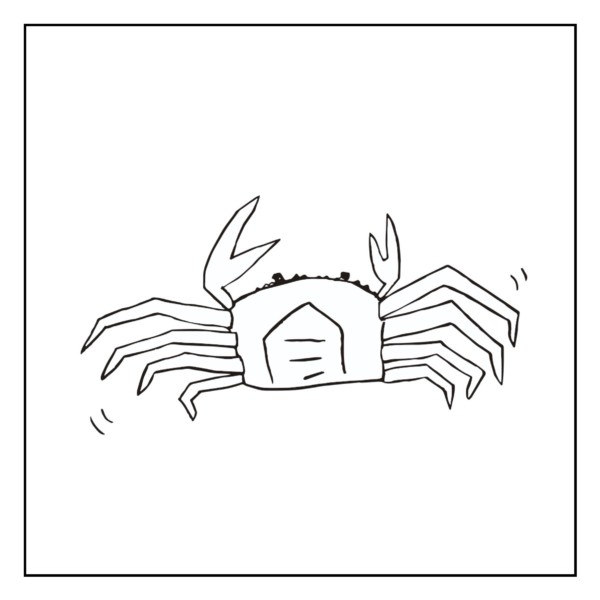 蟹の錯覚(主観)