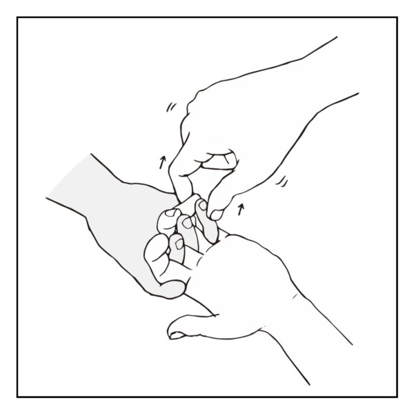 19 – 芋虫の錯覚